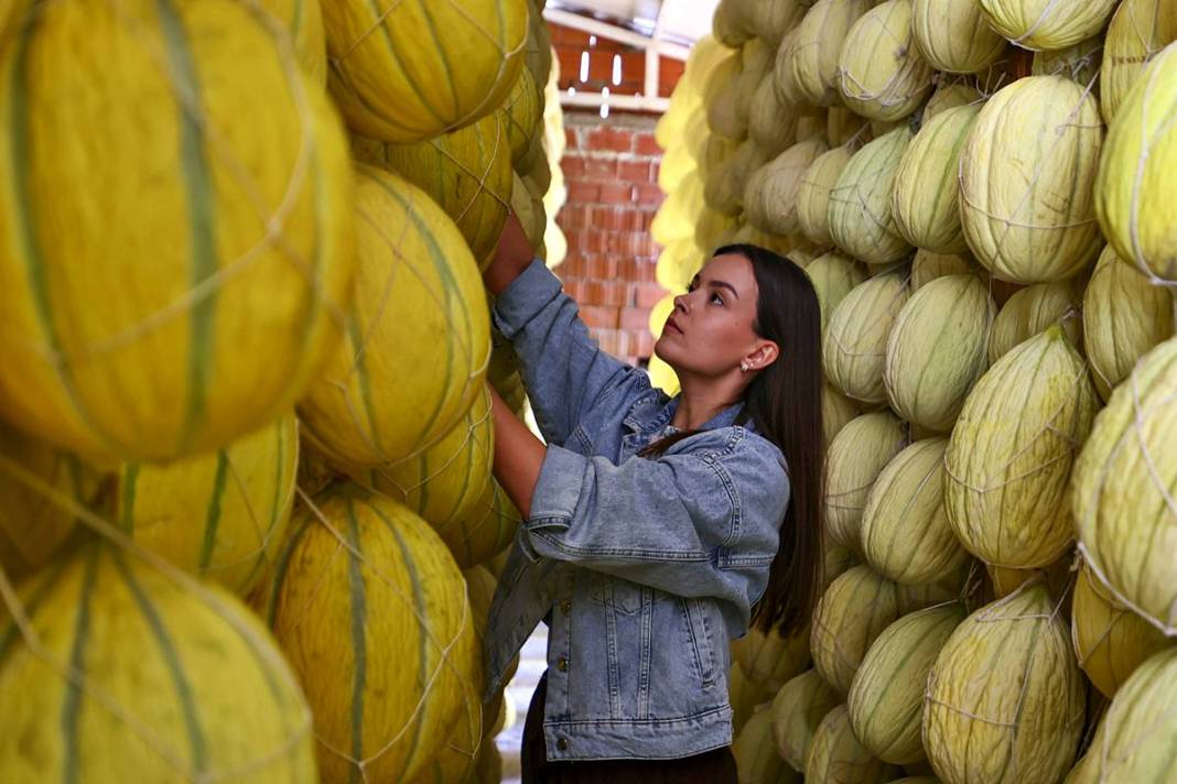 AB onaylı lezzet! Kırkağaç kavunu, kış aylarında da tezgahlarda 9